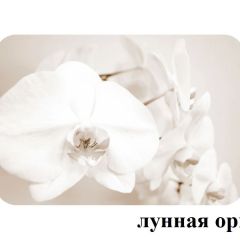 БОСТОН - 2 опоры Триумф в Режи - rezh.mebel24.online | фото 18