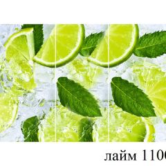 БОСТОН - 3 Стол раздвижной 1100/1420 опоры Брифинг в Режи - rezh.mebel24.online | фото 23
