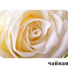 БОСТОН - 3 Стол раздвижной 1100/1420 опоры Брифинг в Режи - rezh.mebel24.online | фото 46