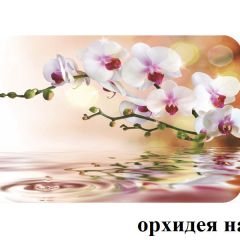 БОСТОН - 3 Стол раздвижной 1100/1420 опоры Брифинг в Режи - rezh.mebel24.online | фото 65