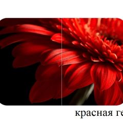 БОСТОН - 3 Стол раздвижной 1100/1420 опоры Триумф в Режи - rezh.mebel24.online | фото 18