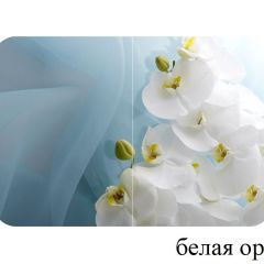 БОСТОН - 3 Стол раздвижной 1100/1420 опоры Триумф в Режи - rezh.mebel24.online | фото 8