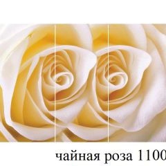БОСТОН - 3 Стол раздвижной 1100/1420 опоры Триумф в Режи - rezh.mebel24.online | фото 48