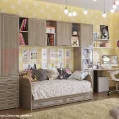 Детская Карина композиция 1 (Гикори Джексон светлый) в Режи - rezh.mebel24.online | фото