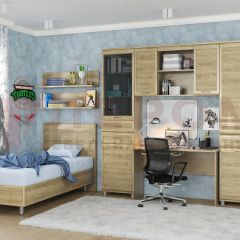 Детская Мелисса композиция 12 (Гикори Джексон светлый) в Режи - rezh.mebel24.online | фото