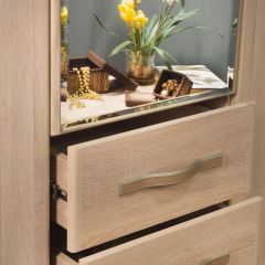 ДИАНА Д11 Шкаф для одежды в Режи - rezh.mebel24.online | фото 5