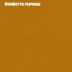 Диван Бинго 1 (ткань до 300) в Режи - rezh.mebel24.online | фото 21