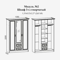 Женева №2 Шкаф 3-х ств. с зерк.,2мя ящ. (ЛДСП бел/МДФ софт светл с пат зол) в Режи - rezh.mebel24.online | фото 2