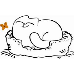 Кровать двухуровневая Кот № 900.1 ПРАВАЯ (туя светлая/белый) в Режи - rezh.mebel24.online | фото 2