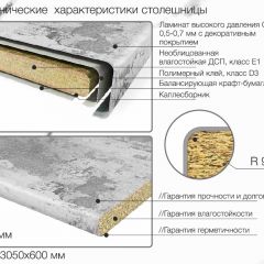 Кухонный фартук со столешницей (А-06) в едином стиле (3050 мм) в Режи - rezh.mebel24.online | фото 6