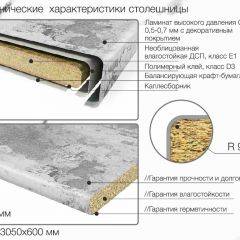 Кухонный фартук со столешницей (А-07) в едином стиле (3050 мм) в Режи - rezh.mebel24.online | фото 6