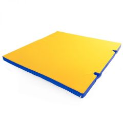 Мат гимнастический 1х1х0,05м с вырезом под стойки цв. синий-желтый в Режи - rezh.mebel24.online | фото 1