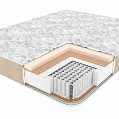 Матрас BioNative Family 40 УПРОЧНЕННЫЙ h220 в Режи - rezh.mebel24.online | фото