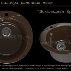 Мойка кухонная MS-1 (D470) в Режи - rezh.mebel24.online | фото 11