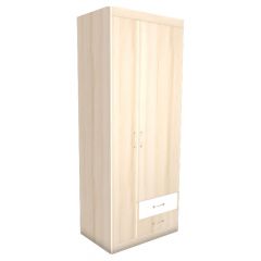 НИКА Н10 Шкаф для одежды в Режи - rezh.mebel24.online | фото