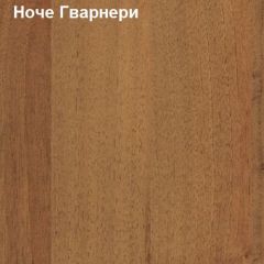 Панель выдвижная Логика Л-7.11 в Режи - rezh.mebel24.online | фото 4