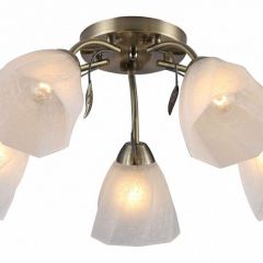 Потолочная люстра Rivoli Olivia Б0052693 в Режи - rezh.mebel24.online | фото