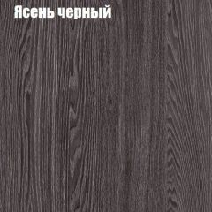 Прихожая ДИАНА-4 сек №14 (Ясень анкор/Дуб эльза) в Режи - rezh.mebel24.online | фото 3