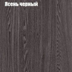 Прихожая ДИАНА-4 сек №29 (Ясень анкор/Дуб эльза) в Режи - rezh.mebel24.online | фото 3