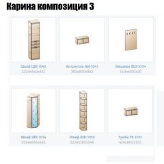 Прихожая Карина (модульная) в Режи - rezh.mebel24.online | фото 8