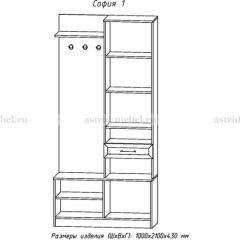 Прихожая София 1 в Режи - rezh.mebel24.online | фото 3