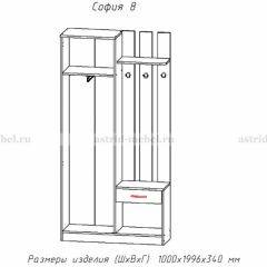 Прихожая София 8 в Режи - rezh.mebel24.online | фото 2