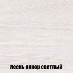 Шкаф 2-х створчатый МСП-1 (Ясень Анкор светлый) в Режи - rezh.mebel24.online | фото 4