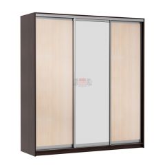 МИРАЖ 17.1 (620) 1 зеркало Шкаф для платья и белья в Режи - rezh.mebel24.online | фото