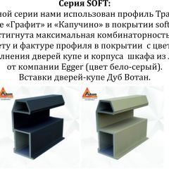 Шкаф-купе 1400 серии SOFT D6+D4+B2+PL2 (2 ящика+1штанга+1 полка) профиль «Капучино» в Режи - rezh.mebel24.online | фото 13