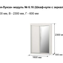 Шкаф-купе 1600 с зеркалом "Мария-Луиза 6.16" в Режи - rezh.mebel24.online | фото 4