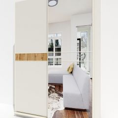 Шкаф-купе 1600 серии SOFT D6+D4+B2+PL2 (2 ящика+1штанга+1 полка) профиль «Капучино» в Режи - rezh.mebel24.online | фото 2