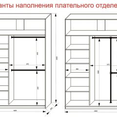 Шкаф-купе 1600 серии SOFT D6+D4+B2+PL2 (2 ящика+1штанга+1 полка) профиль «Капучино» в Режи - rezh.mebel24.online | фото 9