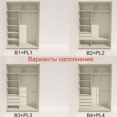 Шкаф-купе 1600 серии SOFT D6+D4+B2+PL2 (2 ящика+1штанга+1 полка) профиль «Капучино» в Режи - rezh.mebel24.online | фото 7