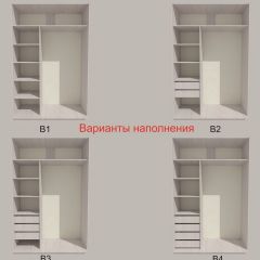 Шкаф-купе 1700 серии SILVER S1+S1+B2+PL2 (2 ящика+1 штанга+1 полка) профиль «Серебро» в Режи - rezh.mebel24.online | фото 5
