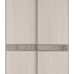 Шкаф-купе 1700 серии SILVER S1+S1+B2+PL2 (2 ящика+1 штанга+1 полка) профиль «Серебро» в Режи - rezh.mebel24.online | фото 10