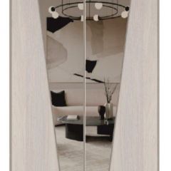 Шкаф-купе 1700 серии SILVER S1+S1+B2+PL2 (2 ящика+1 штанга+1 полка) профиль «Серебро» в Режи - rezh.mebel24.online | фото 12