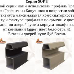 Шкаф-купе 2100 серии SOFT D5+D5+D5+B22+PL4 (по 2 ящика лев/прав+2штанги) профиль «Графит» в Режи - rezh.mebel24.online | фото 11