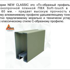 Шкаф-купе 2150 серии NEW CLASSIC K1+K1+K1+B22+PL4 (по 2 ящика лев/прав+F обр.штанга) профиль «Капучино» в Режи - rezh.mebel24.online | фото 17