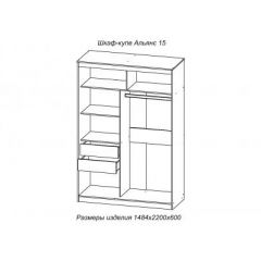 АЛЬЯНС 15 Шкаф-купе Альянс + комплект зеркал №2 в Режи - rezh.mebel24.online | фото 3