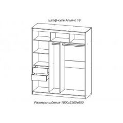 АЛЬЯНС 18 Шкаф-купе + комплект зеркал №4 в Режи - rezh.mebel24.online | фото 3