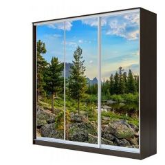 Шкаф-купе ХИТ 23-4-18-777 (420) в Режи - rezh.mebel24.online | фото 1
