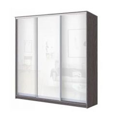 Шкаф-купе ХИТ 23-4-20-888 (420) в Режи - rezh.mebel24.online | фото 1