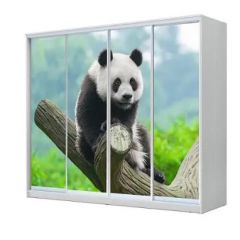Шкаф-купе ХИТ 23-4-24/2-7777 (420) в Режи - rezh.mebel24.online | фото