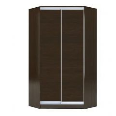 Шкаф-купе ХИТ-У-R-22-64-11 в Режи - rezh.mebel24.online | фото