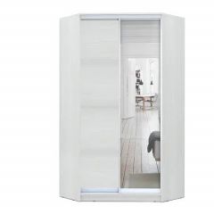 Шкаф-купе ХИТ-У-R-24-64-15 в Режи - rezh.mebel24.online | фото