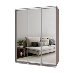 РОЛАНД Шкаф-купе с зеркалами Шимо темный (450*1700) Р473 в Режи - rezh.mebel24.online | фото