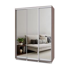 РОЛАНД Шкаф-купе с зеркалами Шимо темный (600*1700) Р673 в Режи - rezh.mebel24.online | фото