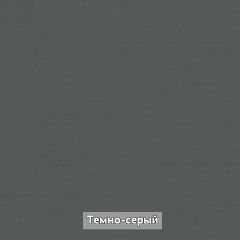 ОЛЬГА-ЛОФТ 10 Шкаф-купе с зеркалом в Режи - rezh.mebel24.online | фото 5