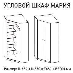 Шкаф угловой Мария 880*880 (ЛДСП 1 кат.) в Режи - rezh.mebel24.online | фото 2