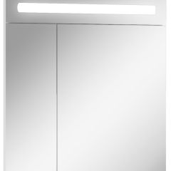 Шкаф-зеркало Аврора 65 с подсветкой LED Домино (DV8006HZ) в Режи - rezh.mebel24.online | фото